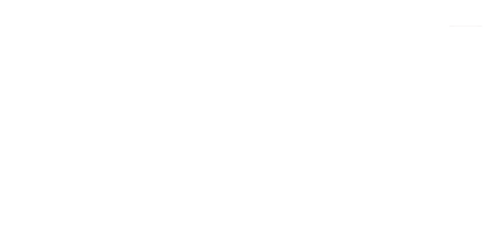 BORN International logo